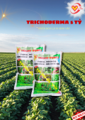 Trichoderma 5 tỷ